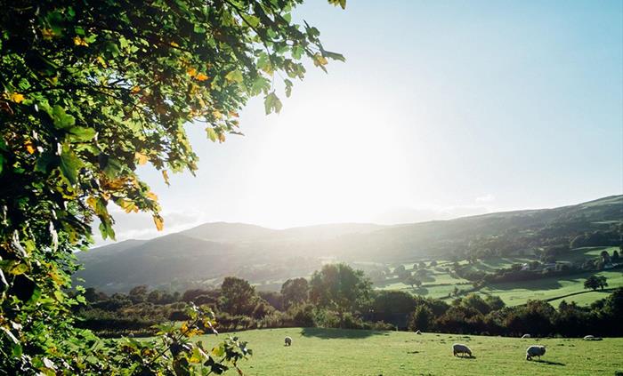 Enjoy fresh air and wide open spaces